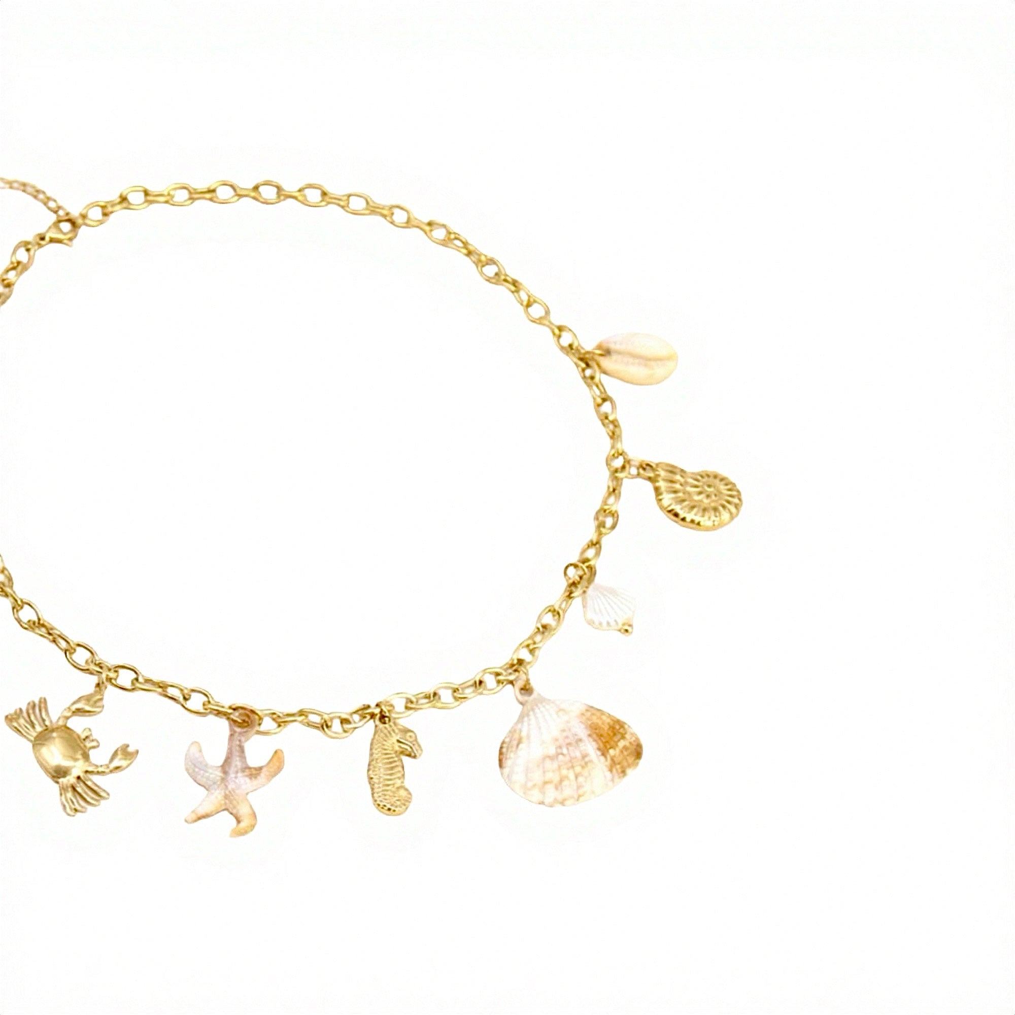 Collier Coquillage